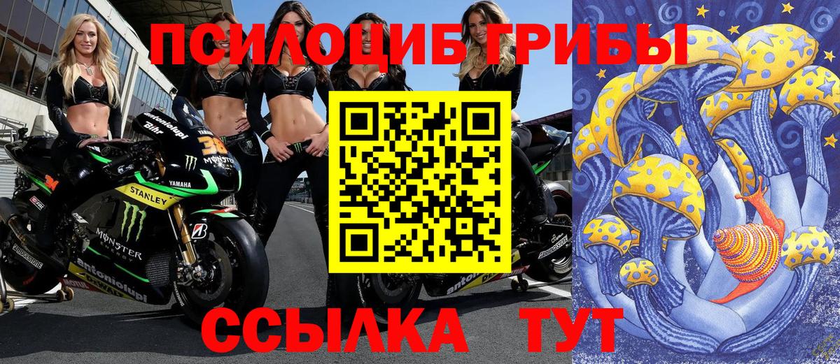 Галлюциногенные грибы MAGIC MUSHROOMS Королёв